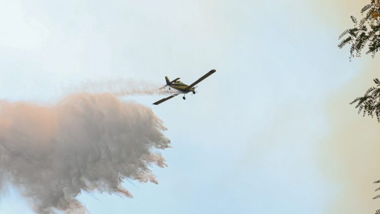 Incendios forestales: Más de 100 comunas estarán con Botón Rojo durante este fin de semana