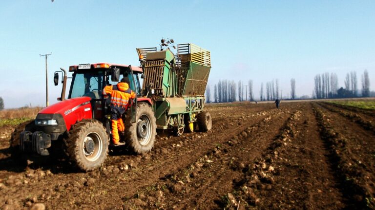 DMC emite Alerta Agrometeorológica por altas temperaturas entre Coquimbo y Ñuble: ¿Cuándo ocurrirá el fenómeno?