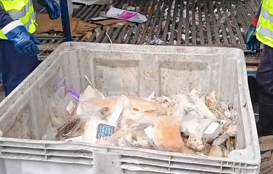Decomisan 6 toneladas de salmón, 1 una tonelada de pescada y otros mariscos en mal estado en Terminal Pesquero/Seremi de Salud