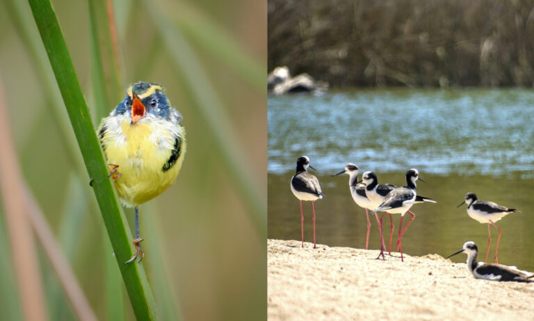 Fundación Kennedy extiende plazo para participar en el 6to Concurso Nacional de Fotografía 2025