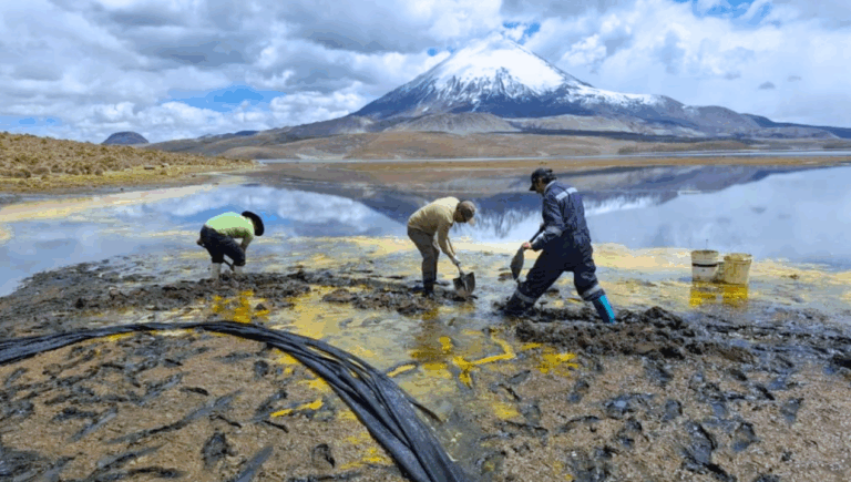 Derrame en Lago Chungará escala en gravedad: Conaf confirma muerte de fauna protegida y riesgo para más de 80 aves
