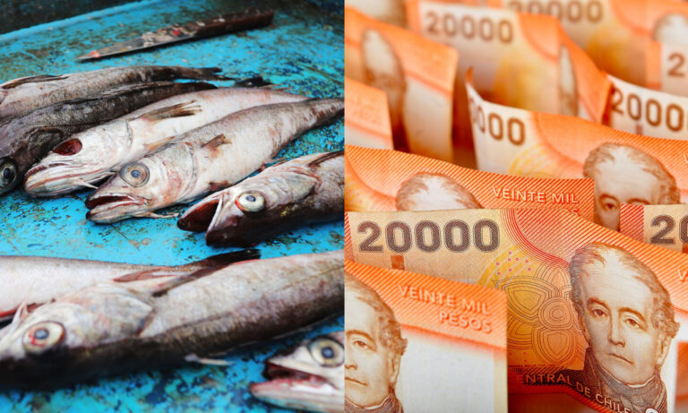 Pescadería deberá pagar más de $1 millón de multa por vender merluza en periodo de veda