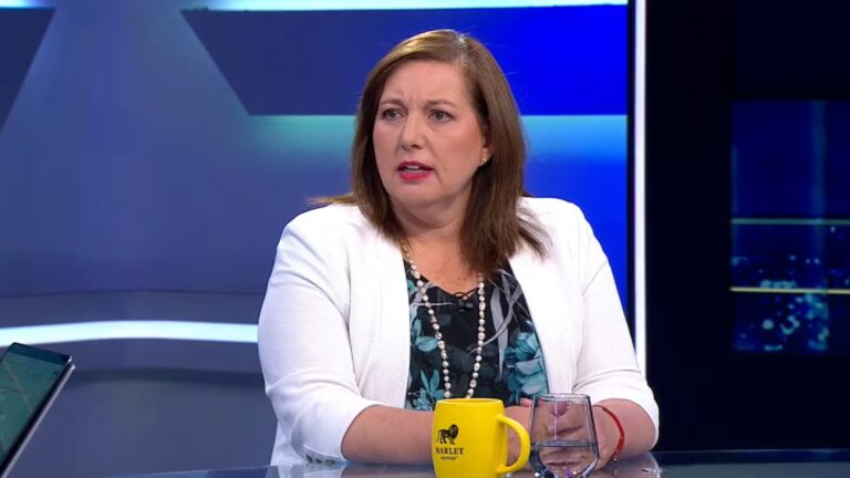 El llamado de Vodanovic a Chile Vamos por modificaciones de Kast a la PGU: 