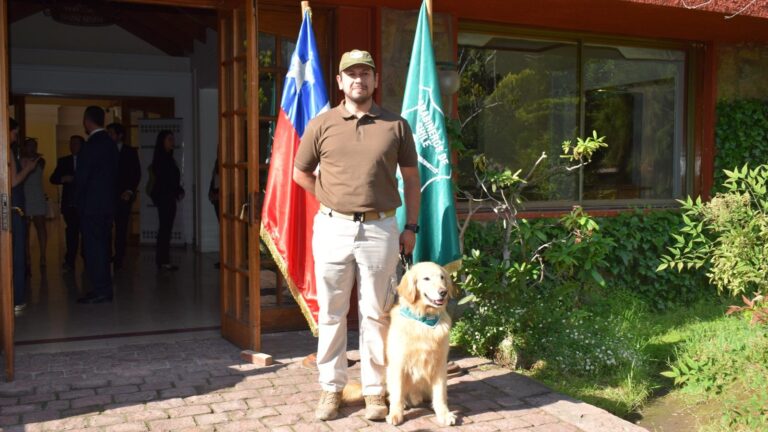 Tras 6 años de servicio en el Departamento Antidrogas de Carabineros: Pasa a retiro el perro 