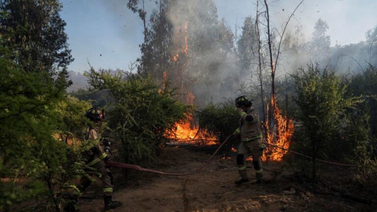 Incendio en Limache provoca evacuación en sectores de Borriqueros y Queronque: Siniestro ha consumido seis hectáreas