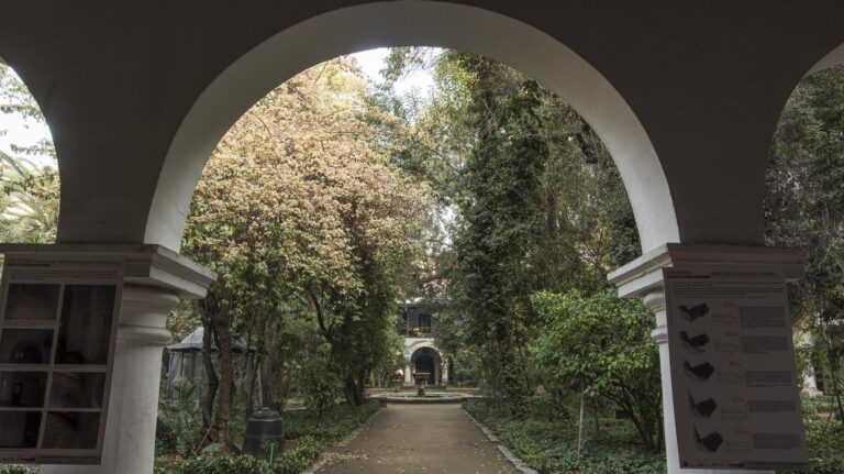 Panoramas gratuitos para el 8 y 9 de noviembre: Recorrido por jardines en Santiago, Ciclo Ruta Patrimonial y anime en Puente Alto