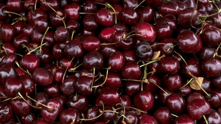 Brasil detectó plaga en más de 1 tonelada de cerezas chilenas: SAG dice que exportaciones siguen con normalidad