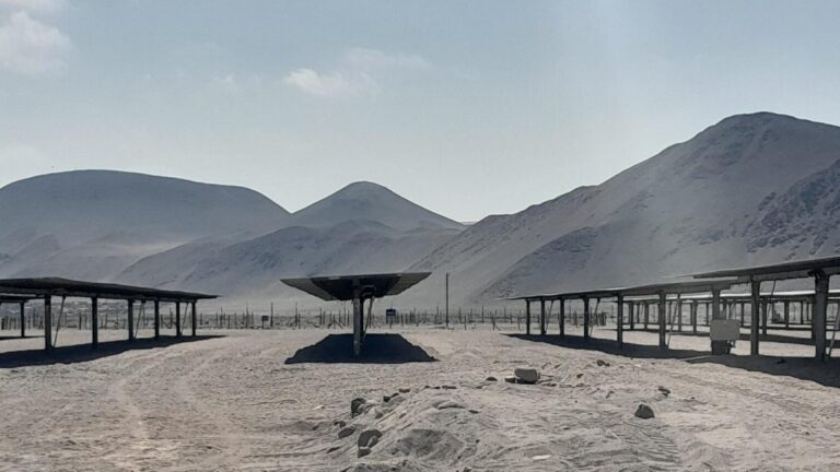 SMA formula cargos contra proyecto energético en Arica: Incumplieron plan de rescate y relocalización de reptiles