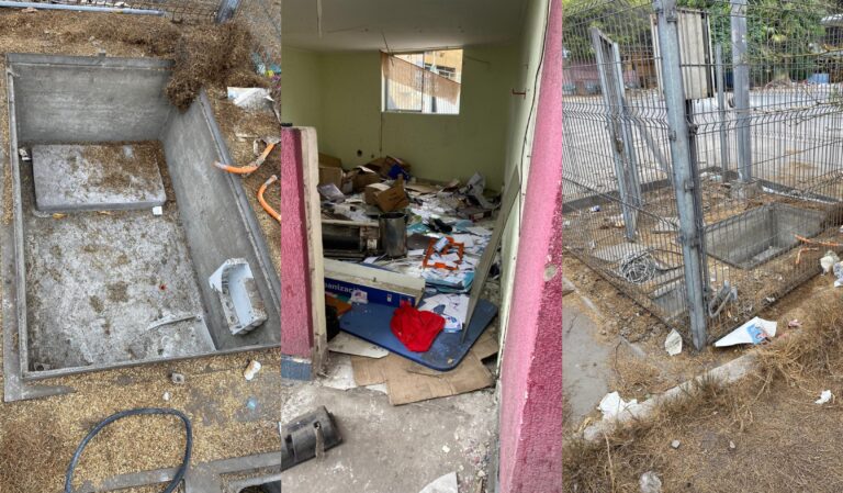 Red Sismológica denuncia vandalización de dos estaciones en Antofagasta y robo de acelerógrafo: 