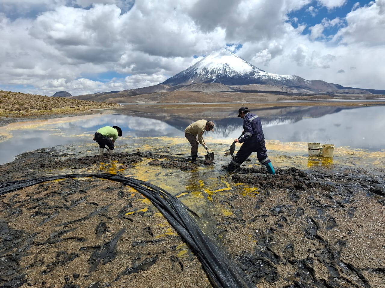 Cierran sector Chungará del Parque Nacional Lauca tras derrame de 25 mil litros de aceite: Hay afectación en flora y fauna/Conaf