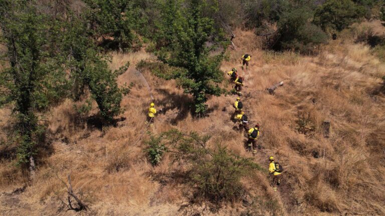 Autoridades presentan plan de cortafuegos para prevenir incendios forestales: Contempla casi 5 mil kilómetros