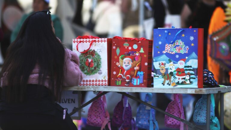 Compras de fin de año: Banca entrega recomendaciones para prevenir fraudes por aumento de transacciones financieras