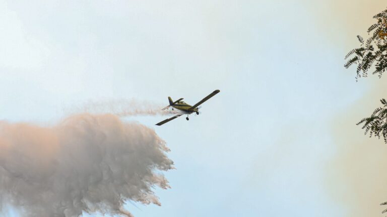 Senapred decretó Alerta Roja en Limache por incendio forestal: Llamó a evacuar sectores El Limachito y Condominio Limache