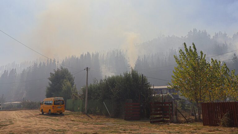 Senapred declaró Alerta Roja en Olmué por incendio forestal: Equipos trabajan para combatir el avance de las llamas