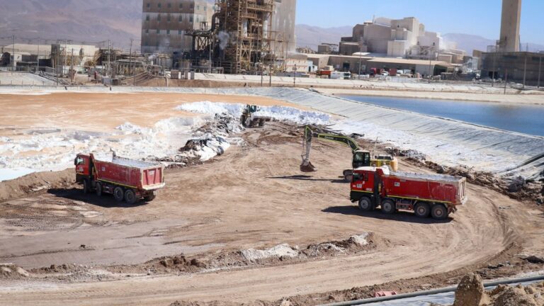 INE: Tasa de desempleo fue de 8,4% en el trimestre septiembre-noviembre de 2025