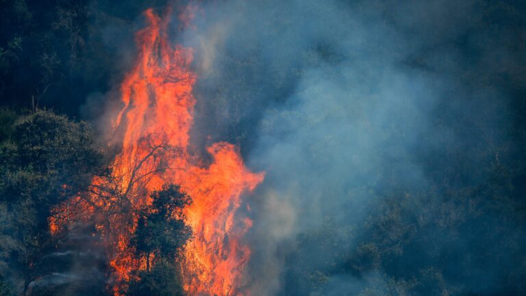 Conaf activa plan de contingencia por incendios forestales desde la Región Metropolitana hasta La Araucanía