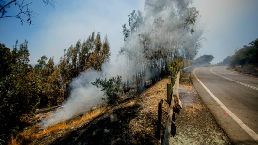 Gerente de Protección contra Incendios de Conaf reiteró llamado a la precaución ante condiciones que favorecen los siniestros