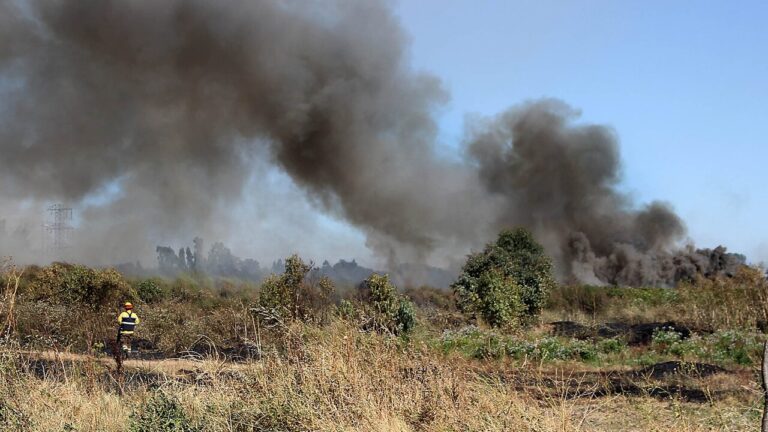 Conaf informa sobre incendios forestales en combate: En San Pedro hay más de 2 mil hectáreas afectadas