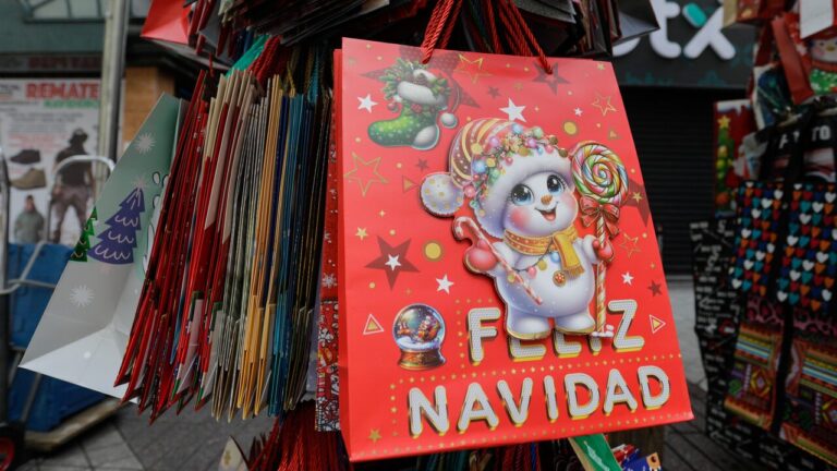 Fiestas de fin de año: Autoridades informan despliegue de seguridad, fiscalizaciones y funcionamiento del transporte