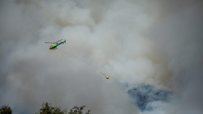 Incendios forestales: Autoridades llaman a no tener conductas de riesgo para evitar nuevos focos