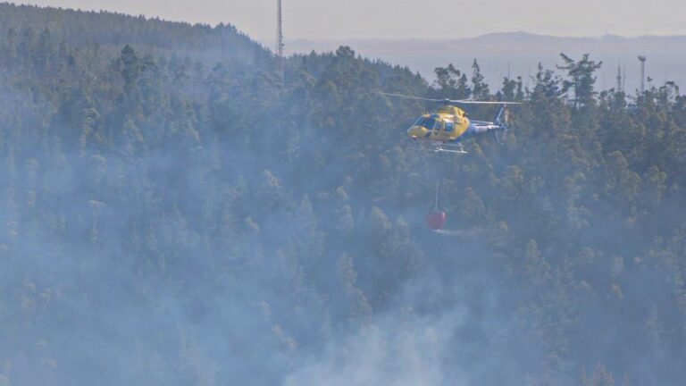 Altas temperaturas y riesgo de incendios forestales: Ministerio de Agricultura y Conaf llaman a aplicar 