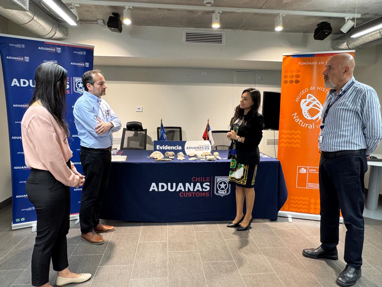 Museo de Historia Natural de Concepción recibió 112 fósiles incautados por Aduanas/Aduanas
