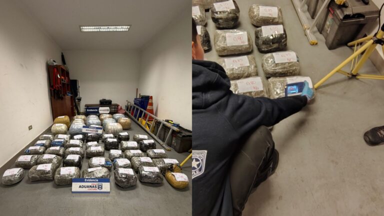 En Paso Fronterizo Chungará: Aduanas descubrió más de 100 kilos de marihuana oculta entre cargamento de soya a granel