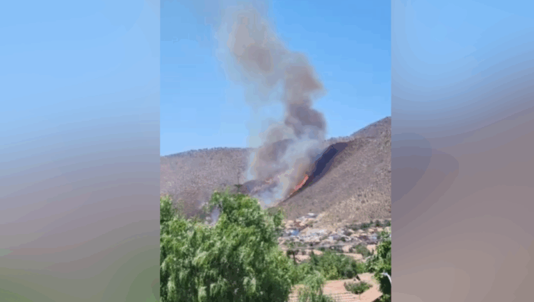 Incendio en ladera de cerro preocupa a vecinos de Pudahuel: intentan contener las llamas con mangueras