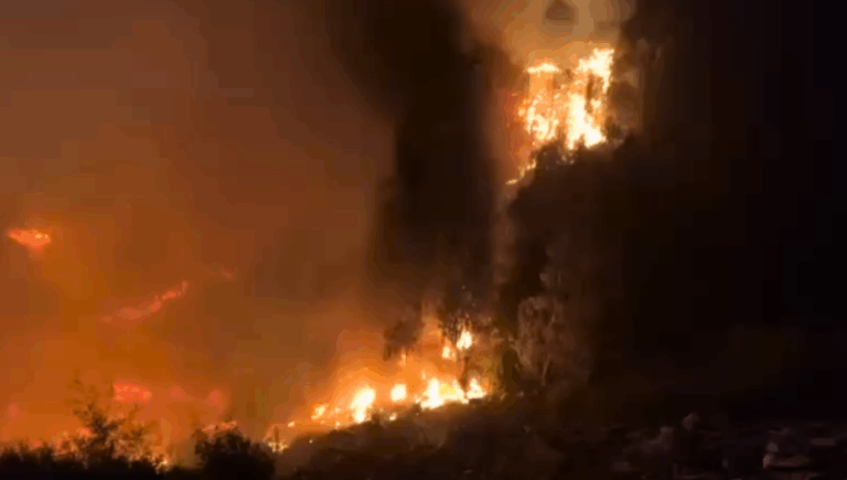 Alerta roja y evacuaciones en Valparaíso por incendio forestal que amenaza viviendas