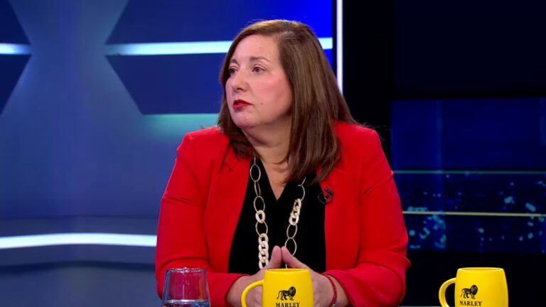 Vodanovic afirma que 