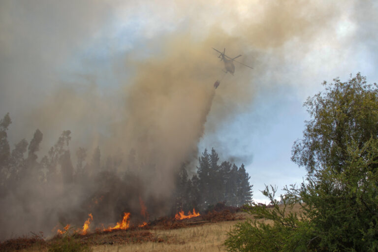 Senapred ordena evacuación preventiva en Quebrada de Riffo, Florida, por incendio forestal