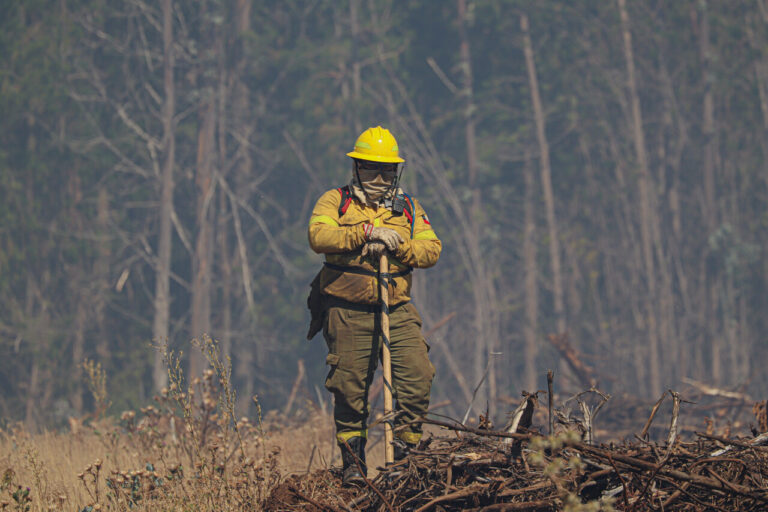 Senapred declara alerta roja en la Región de La Araucanía por incendios forestales