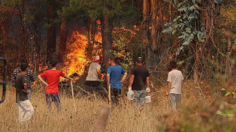 Cuatro señales para evacuar de inmediato ante un incendio forestal, según Conaf