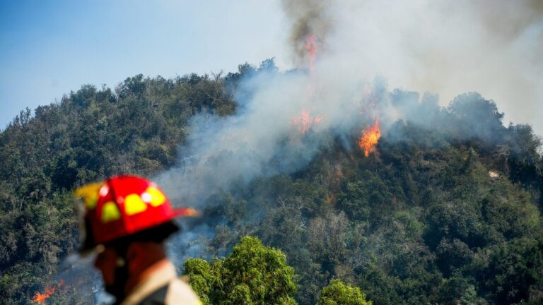 Conaf entrega balance de incendios forestales: Hay siete en combate en tres regiones