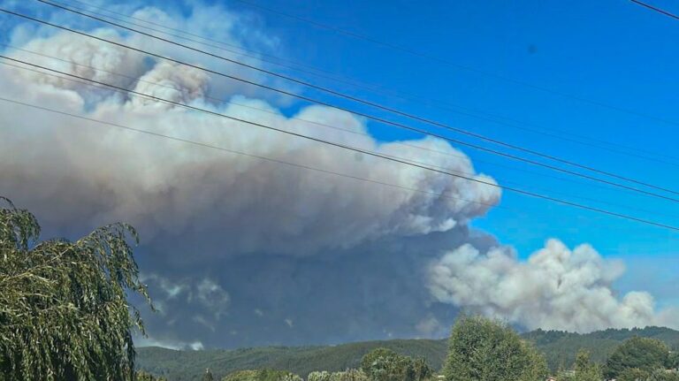 Estados Unidos entregará donación de asistencia a Chile para enfrentar incendios forestales
