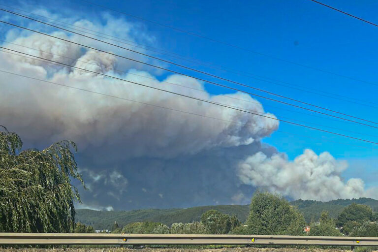 O'Higgins: Senapred decreta alerta roja para la comuna de Mostazal por incendio forestal