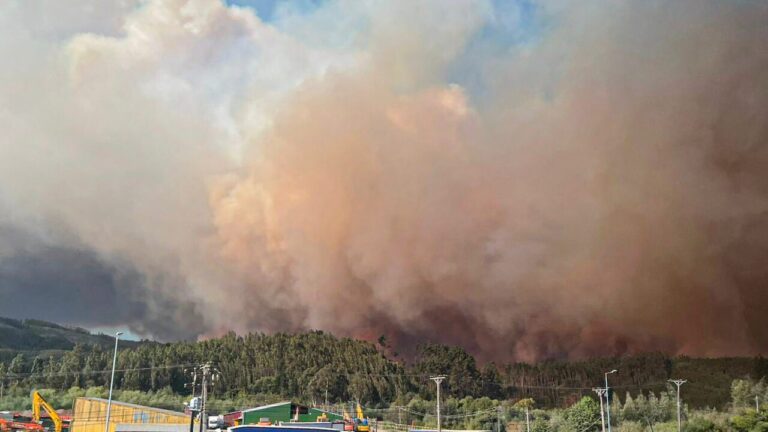 Incendios forestales: Transporte Informa recomienda no transitar desde Santiago hasta el Biobío