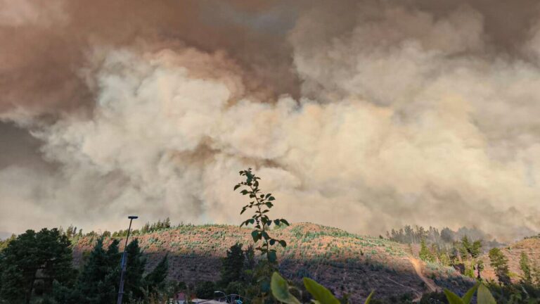 Incendios forestales: Alcalde de Florida confirma que hay más de 2.500 hectáreas consumidas y dos casas afectadas
