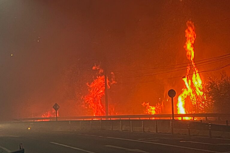 Encuentran contenedores con bencina en caminos investigados por focos de incendios forestales de la Región del Biobío