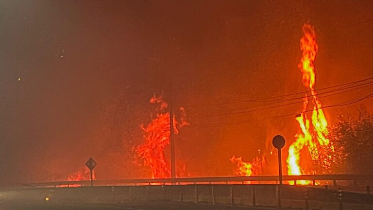 Ñuble: Alcalde de Bulnes dice que 