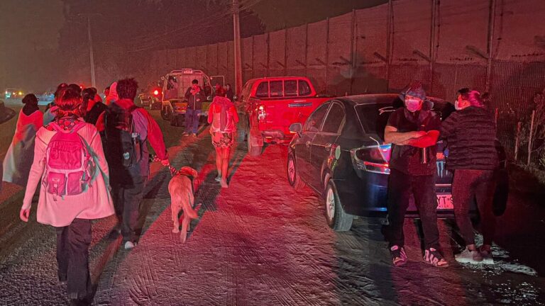 Senapred solicita evacuar distintos sectores en la Región del Biobío por incendios forestales