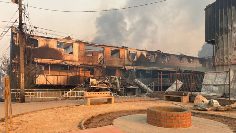 Incendios forestales: Contraloría tomó razón de decretos que declaran estado de catástrofe en Ñuble y Biobío