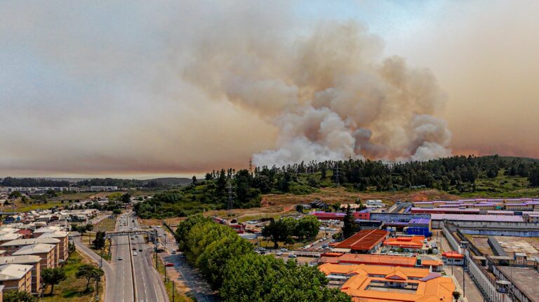 Delegado del Biobío alerta por avance del incendio Trinitarias y foco reactivado en Tomé: “Tiene una extensión de 30 kilómetros”