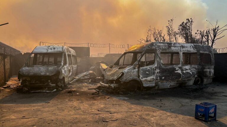 Fiscalía Regional de Biobío se despliega en terreno para investigar origen de los incendios forestales