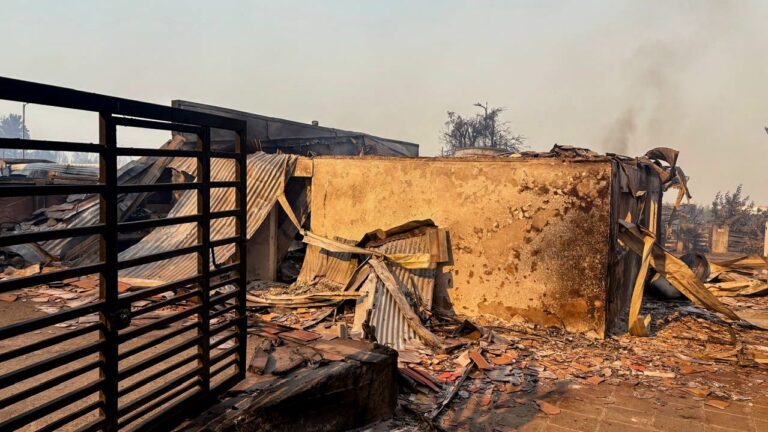 Desafío Levantemos Chile pide donar dinero para ayudar al combate de incendios forestales