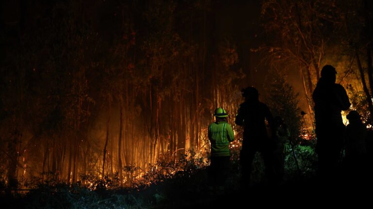 Incendios forestales en la zona centro-sur: Rusia entrega ayuda a damnificados del Biobío y Ñuble