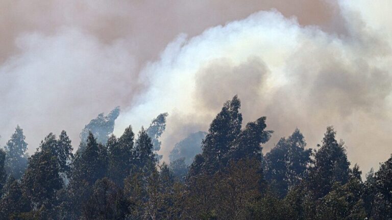 Incendios: Senapred solicita evacuar sectores de La Araucanía y decreta alerta roja en comunas de la región