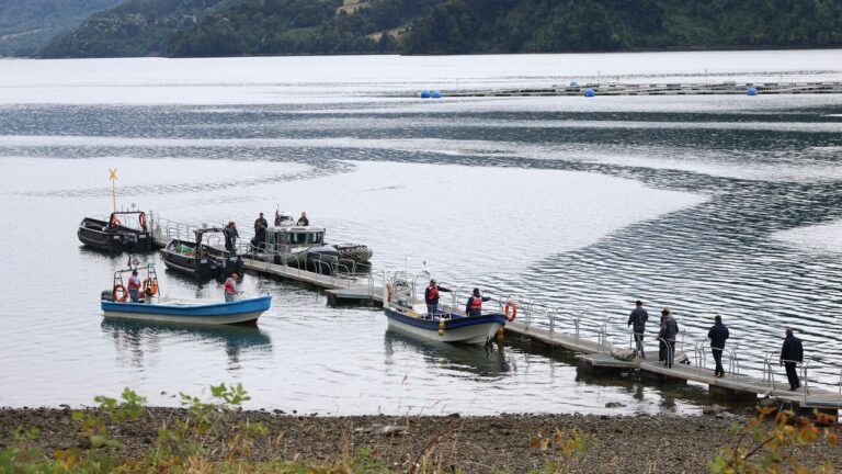 Confirman hallazgo de tercer cuerpo de tripulante desaparecido tras hundimiento de embarcación en Estuario de Reloncaví