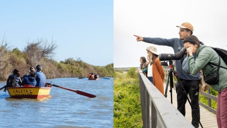 Panoramas de verano 2026 en Valparaíso: Actividades gratuitas en el Parque Humedal Río Maipo durante febrero