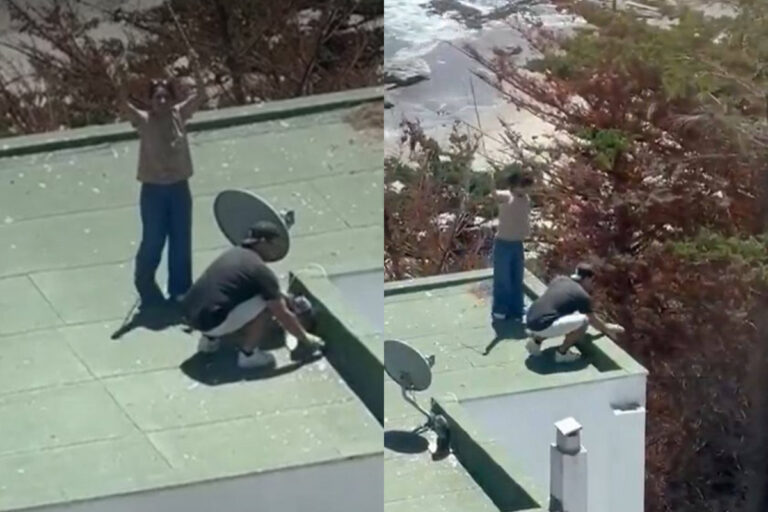 De la indignación a un final feliz: Pareja fue captada lanzando polluelos de gaviota desde la azotea de un edificio en Maitencillo